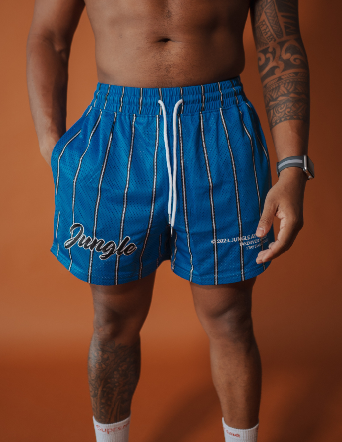 Magic Pinstripe - Mesh Shorts