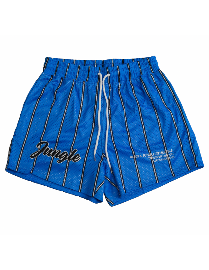 Magic Pinstripe - Mesh Shorts