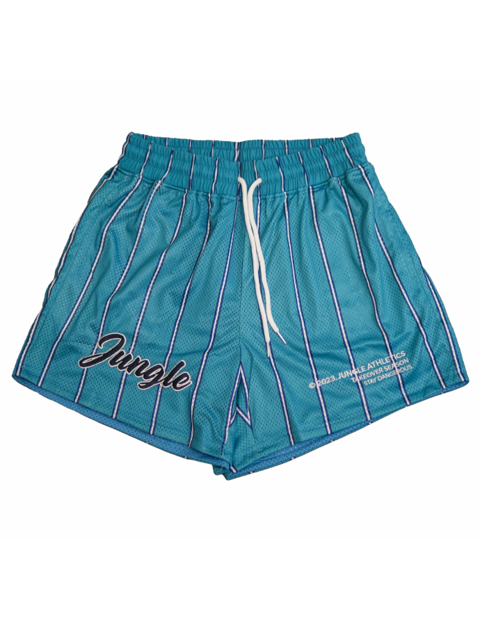 Crooks Pinstripe Mesh Shorts